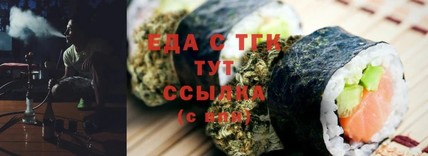 индика Ельня