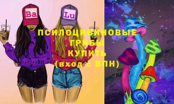 mdpv Елизово