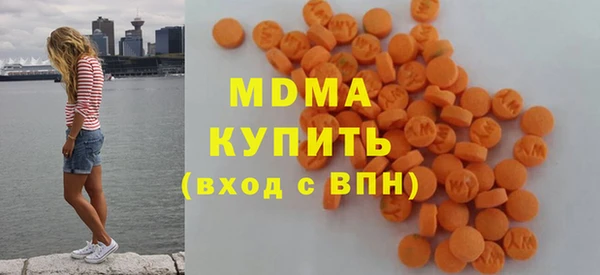 индика Ельня