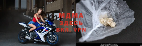 индика Ельня