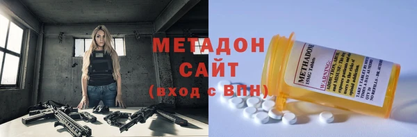 индика Ельня