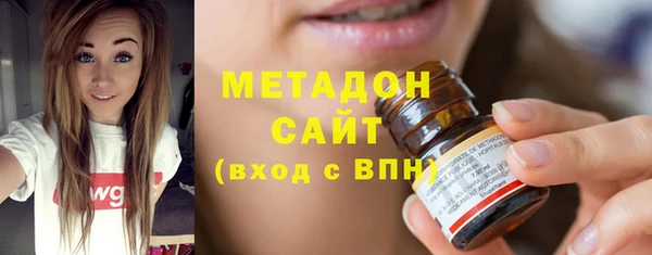 индика Ельня