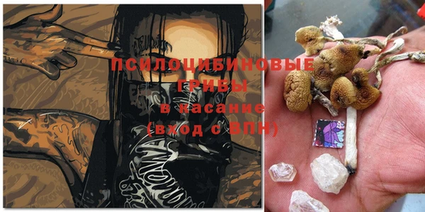 mdpv Елизово