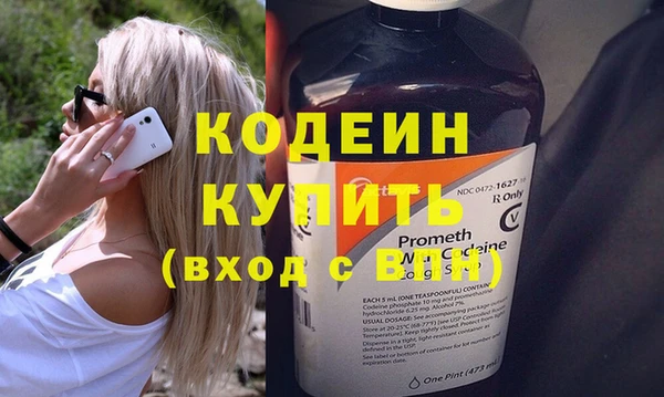 индика Ельня