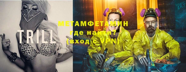 индика Ельня