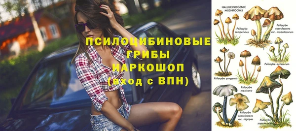 mdpv Елизово