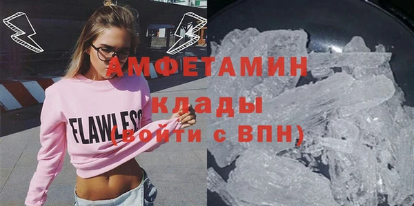 индика Ельня