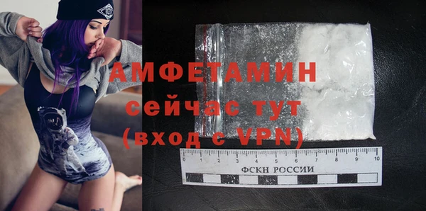 индика Ельня