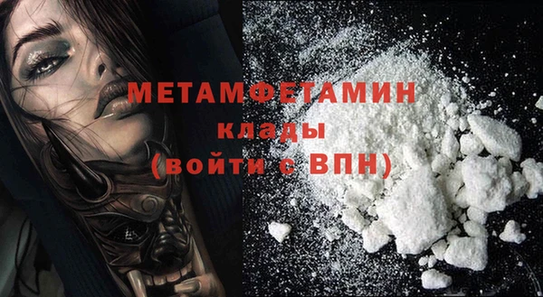 индика Ельня