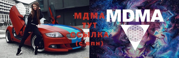 индика Ельня