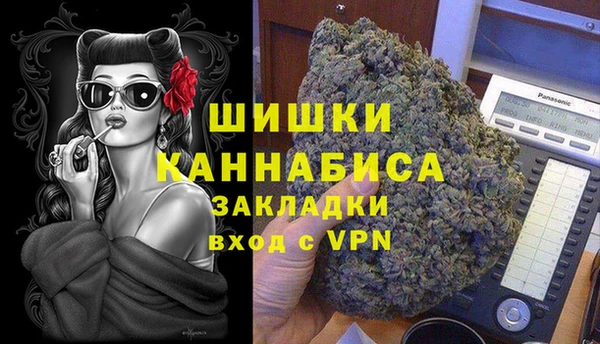 индика Ельня