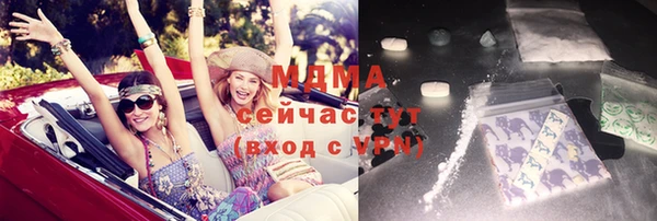 индика Ельня