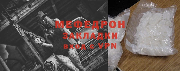 индика Ельня