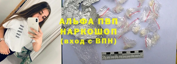 индика Ельня
