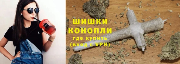индика Ельня