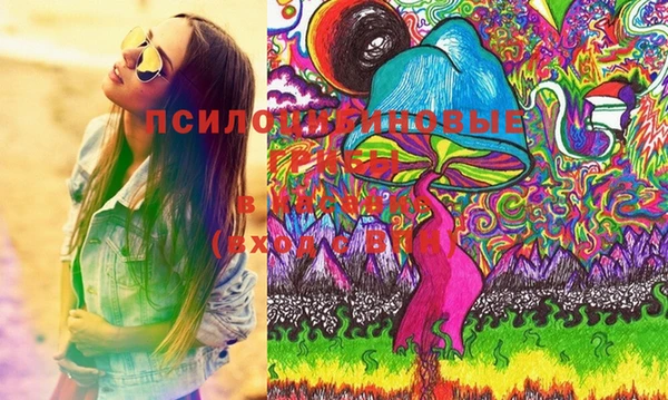 индика Ельня