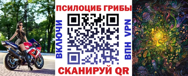 Галлюциногенные грибы MAGIC MUSHROOMS  Купить  Валдай 